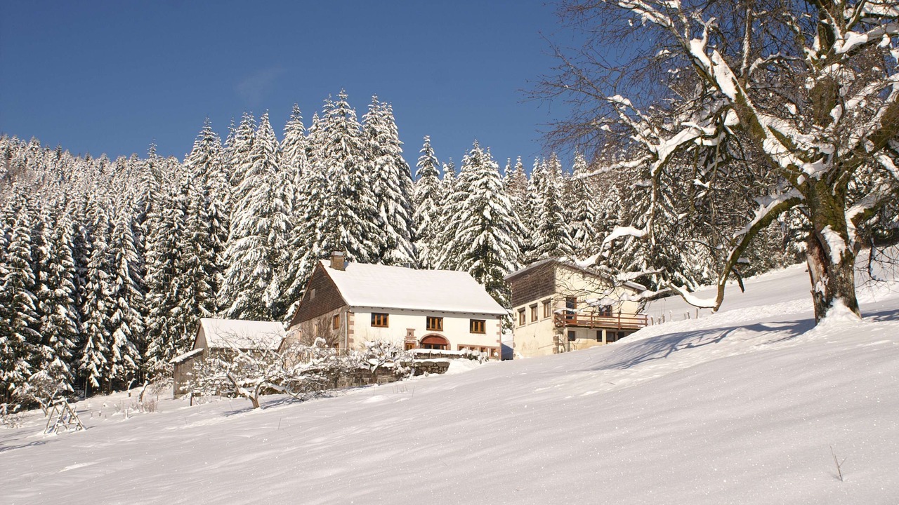 Photo of Outdoor in Cleurie