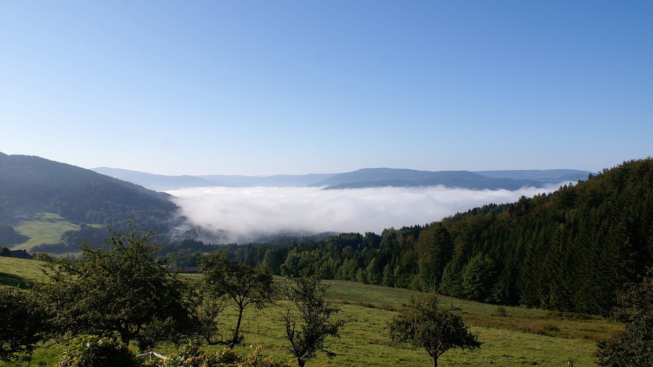 Photo of Outdoor in Cleurie