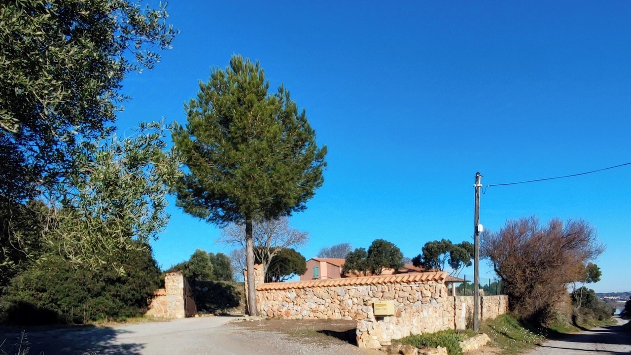 Photo of Others in Bouzigues