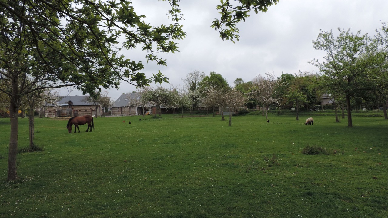 Photo of Outdoor in Benouville