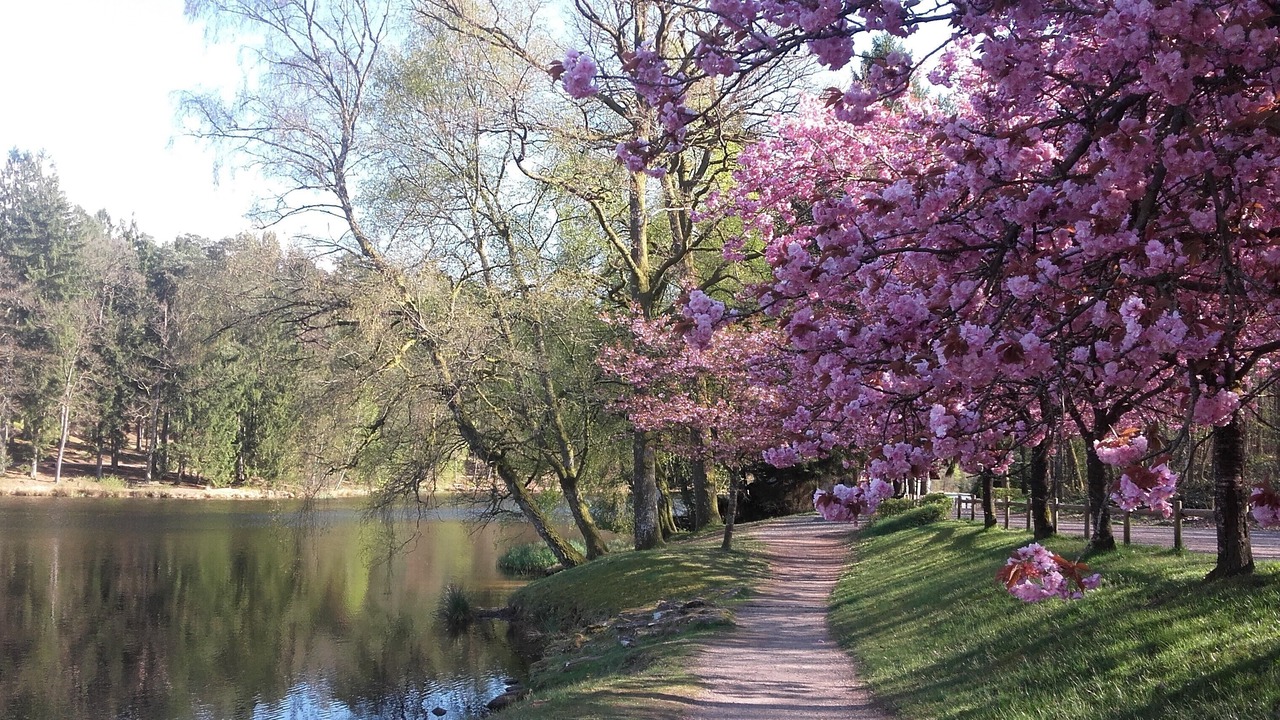 Photo of Outdoor in Hottviller