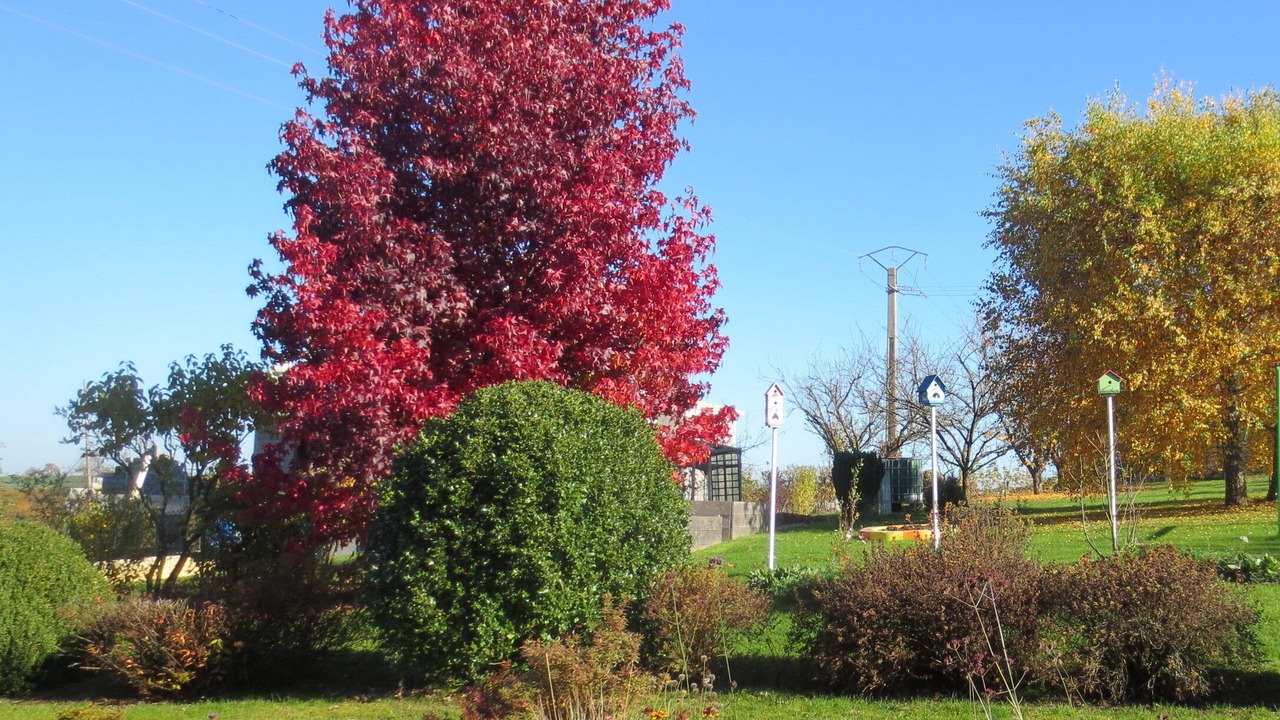 Photo of Outdoor in Hottviller