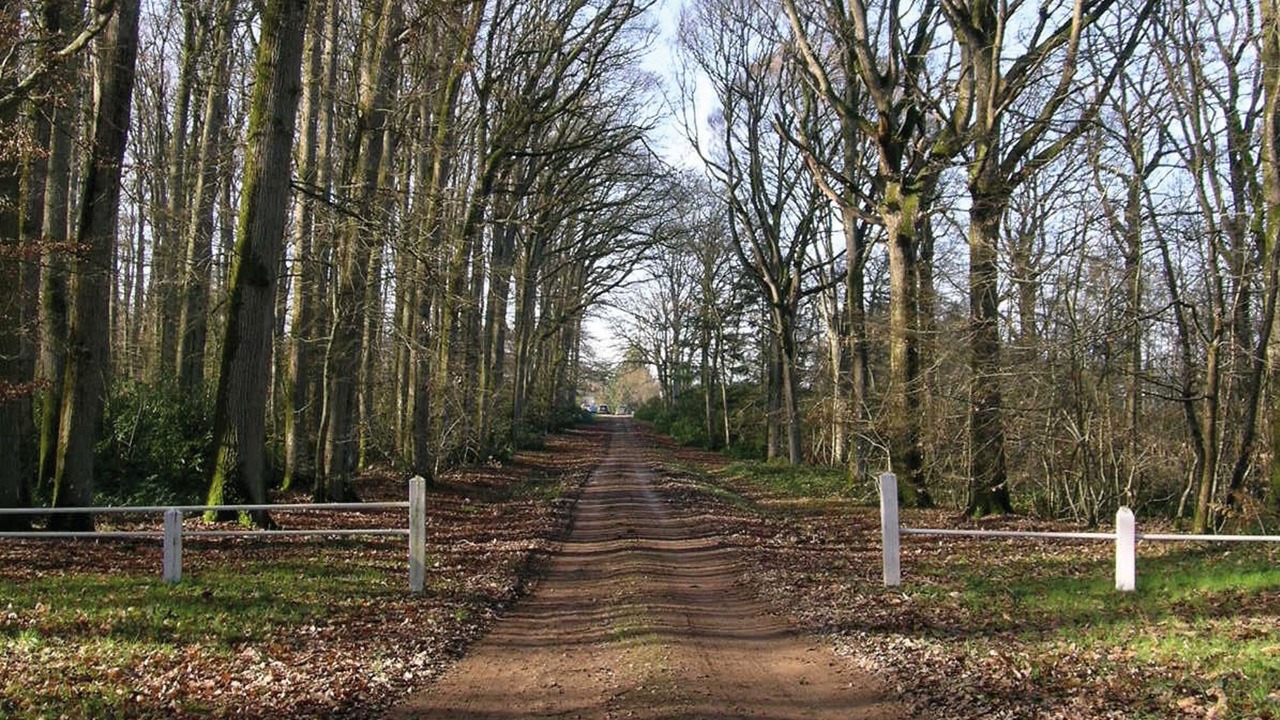 Photo of Outdoor in Souvigne-sur-Sarthe