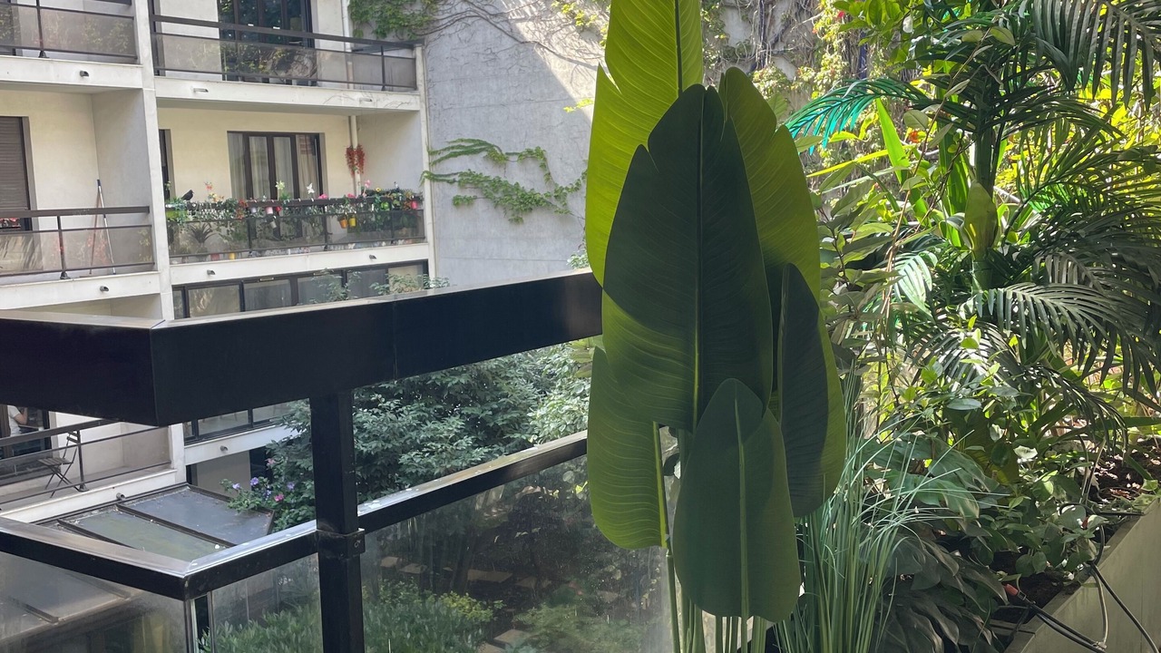 Photo of Outdoor in Les Halles