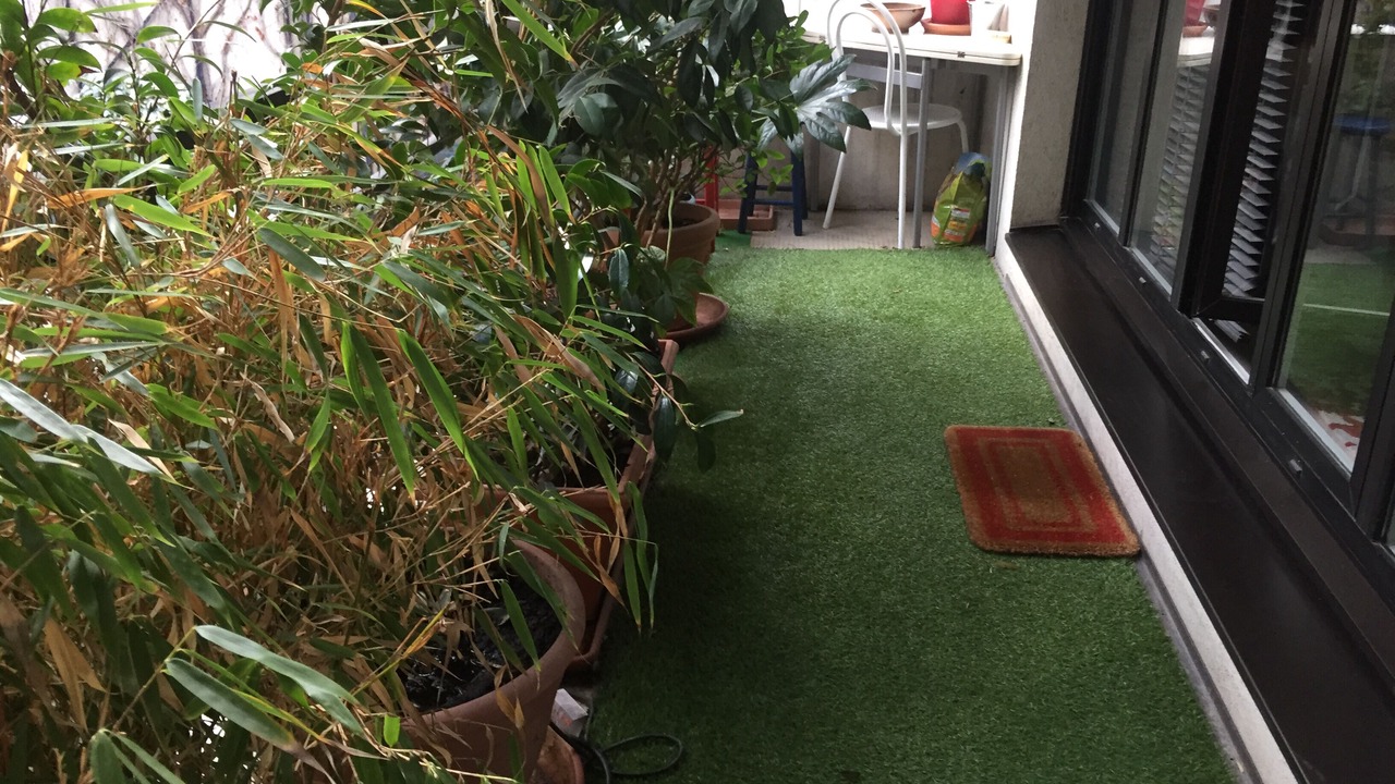Photo of Patio Balcony in Les Halles