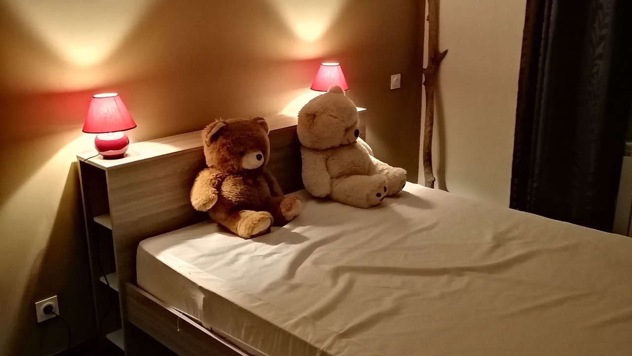 Photo of Bedroom in Mejannes-le-Clap