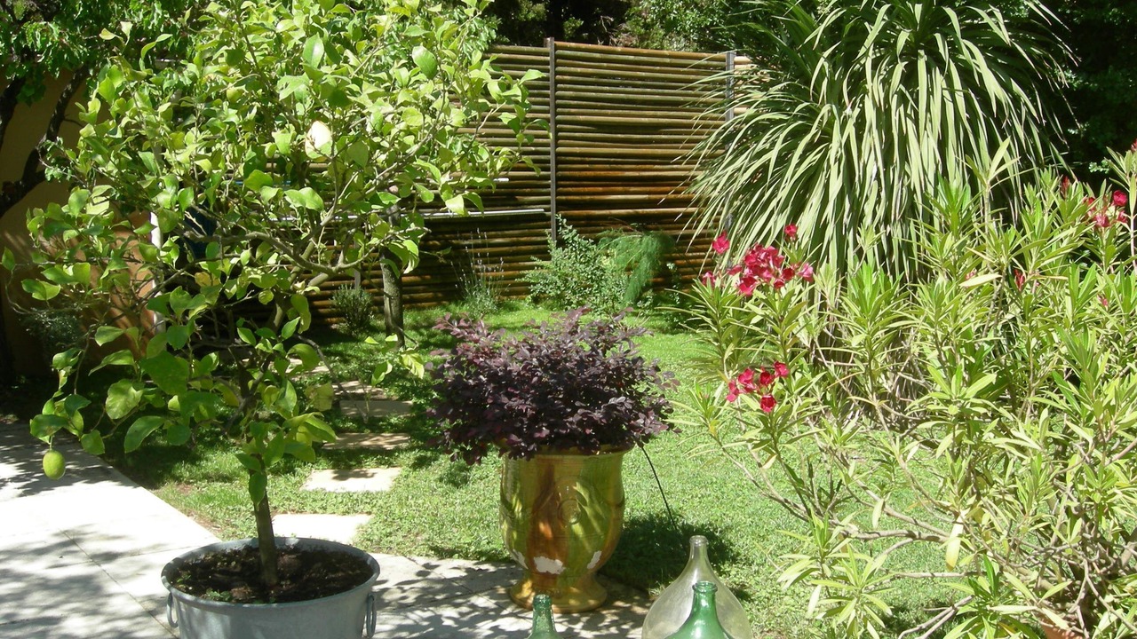Photo of Outdoor in Jonquieres