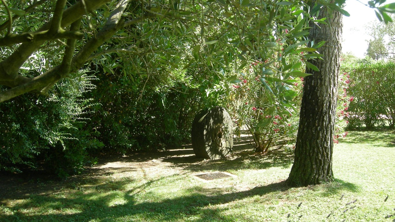 Photo of Outdoor in Jonquieres
