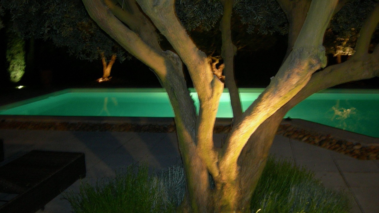 Photo of Outdoor in Jonquieres