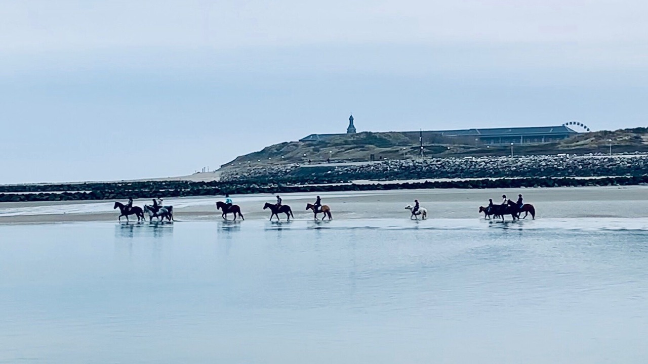 Photo of Others in Berck-sur-Mer