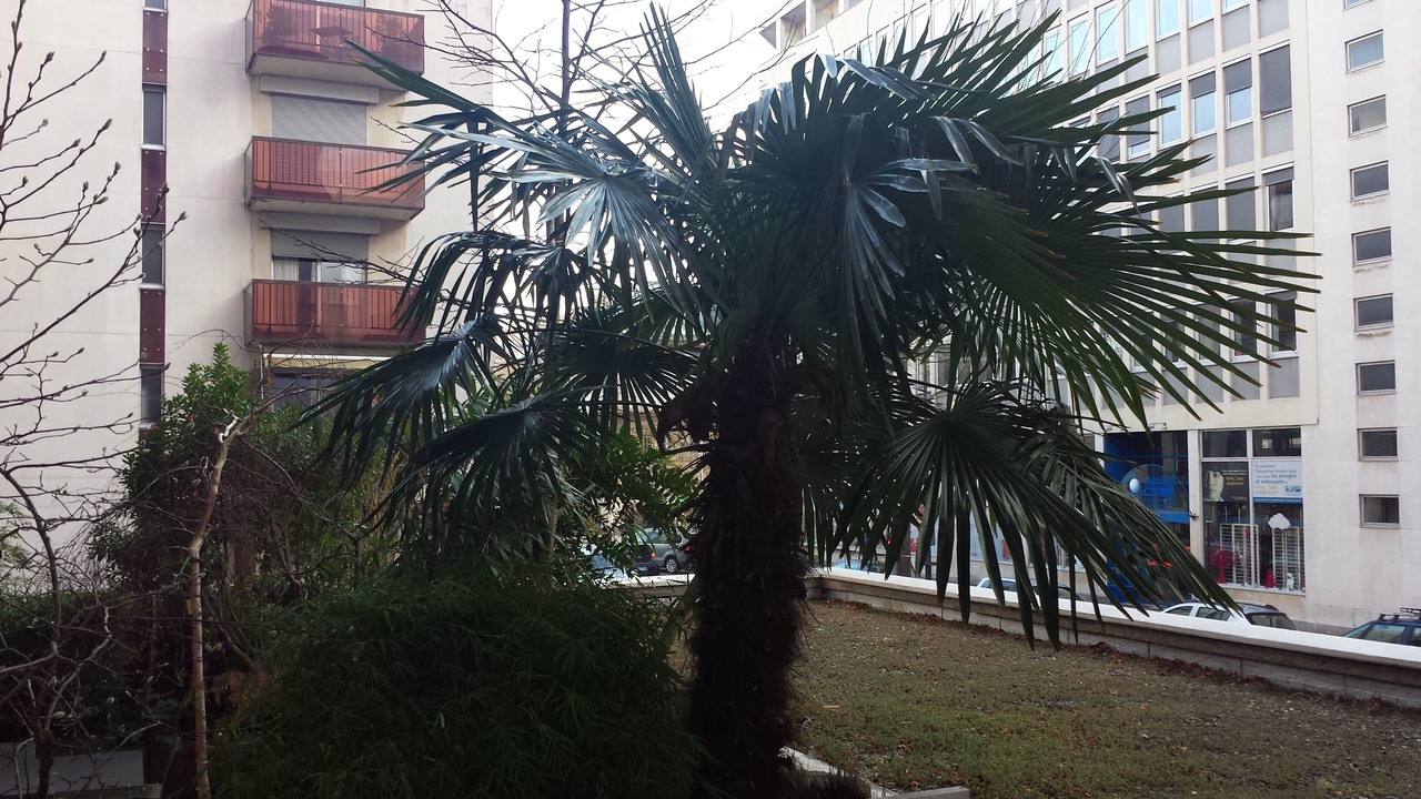 Photo of Outdoor in Quartier de l'Ecole-Militaire
