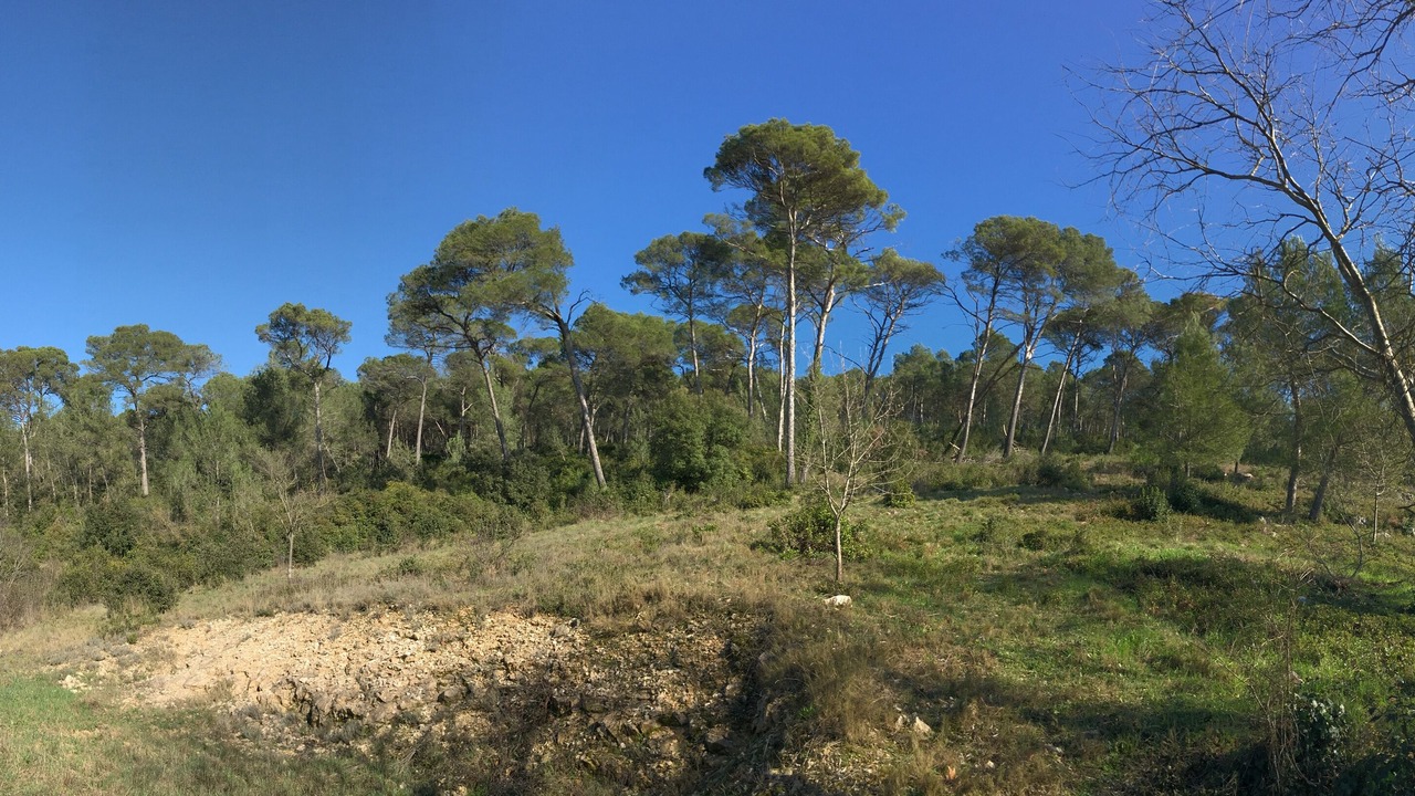 Photo of Outdoor in Combaillaux