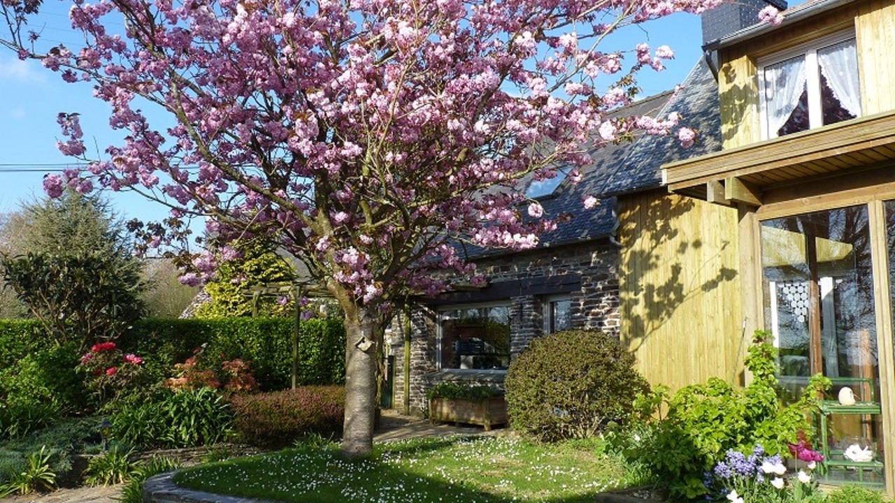 Photo of Outdoor in Plestin-les-Greves