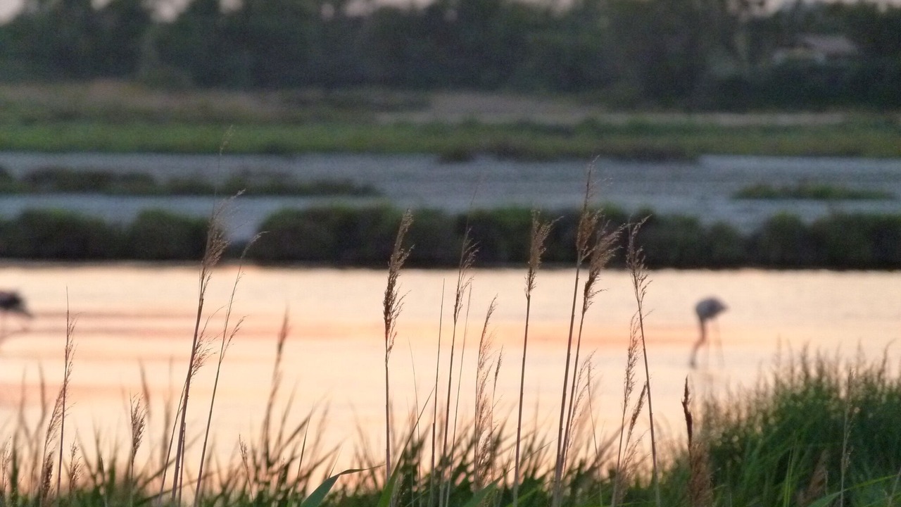 Photo of Others in Saint-Andre-de-Roquepertuis