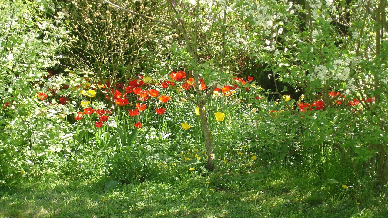 Photo of Outdoor in Attray
