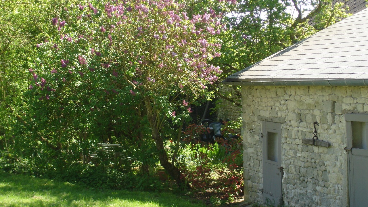 Photo of Outdoor in Attray