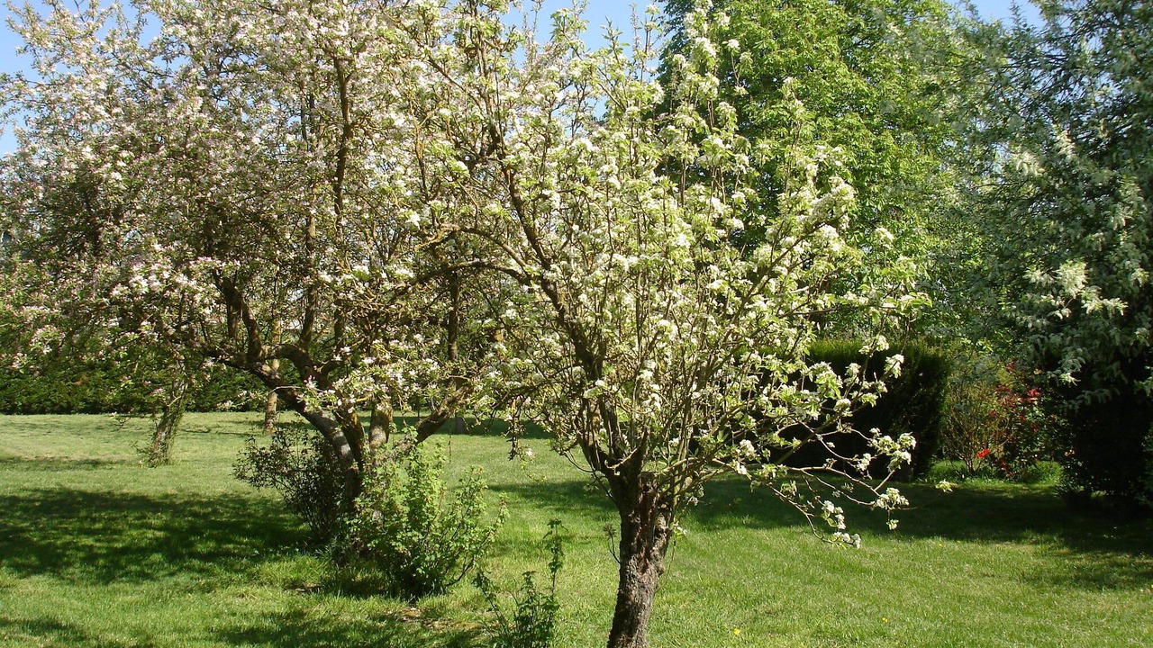 Photo of Outdoor in Attray