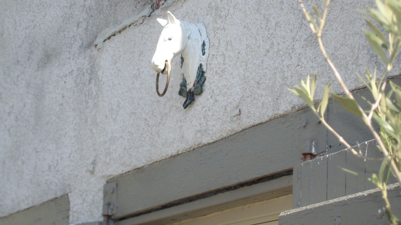 Photo of Outdoor in Attray