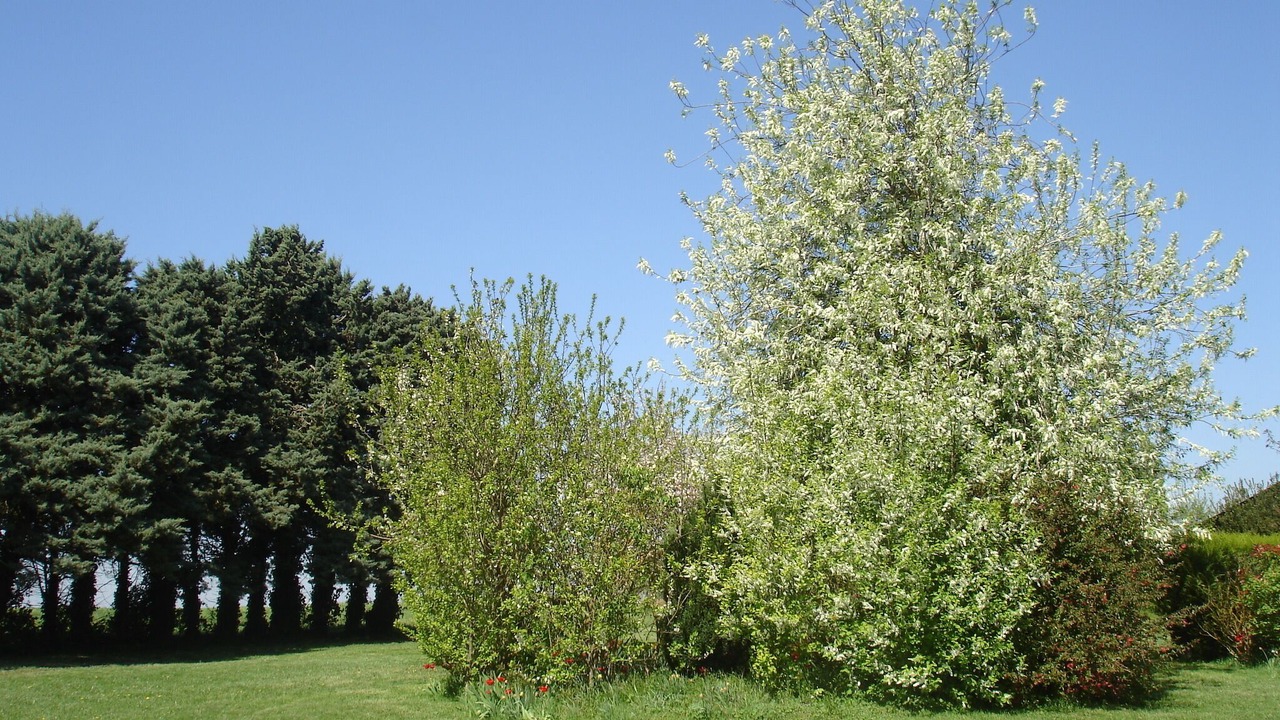 Photo of Outdoor in Attray