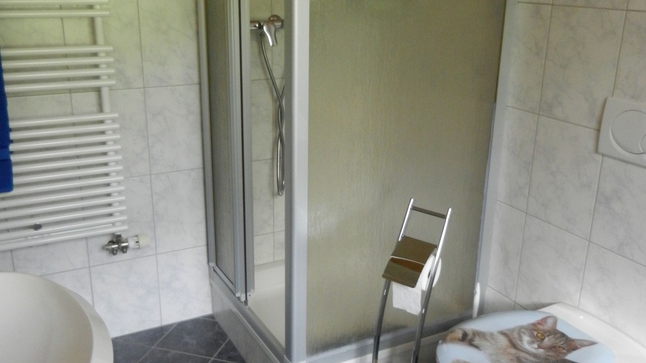 Photo of Bathroom in Kandergrund
