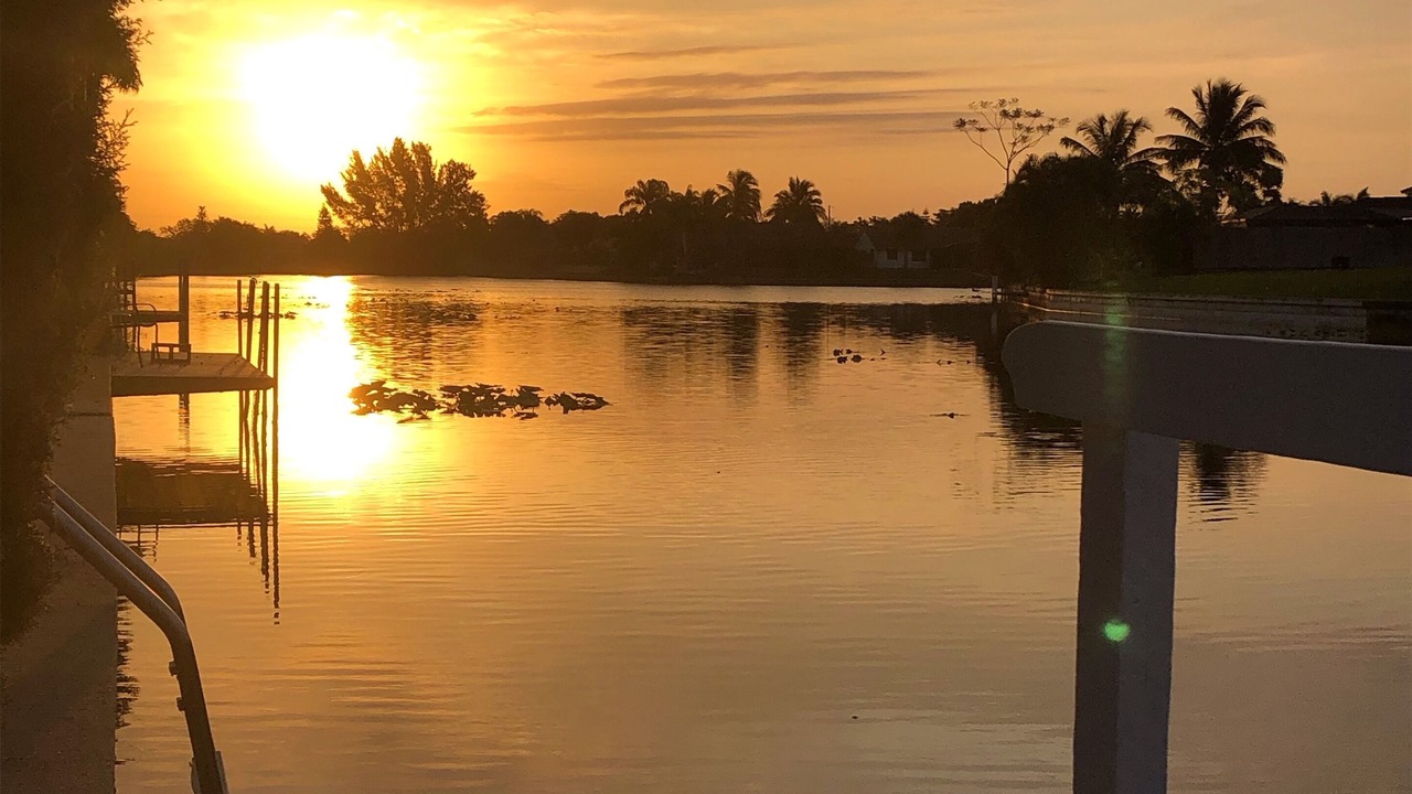 Photo of Outdoor in Cape Coral