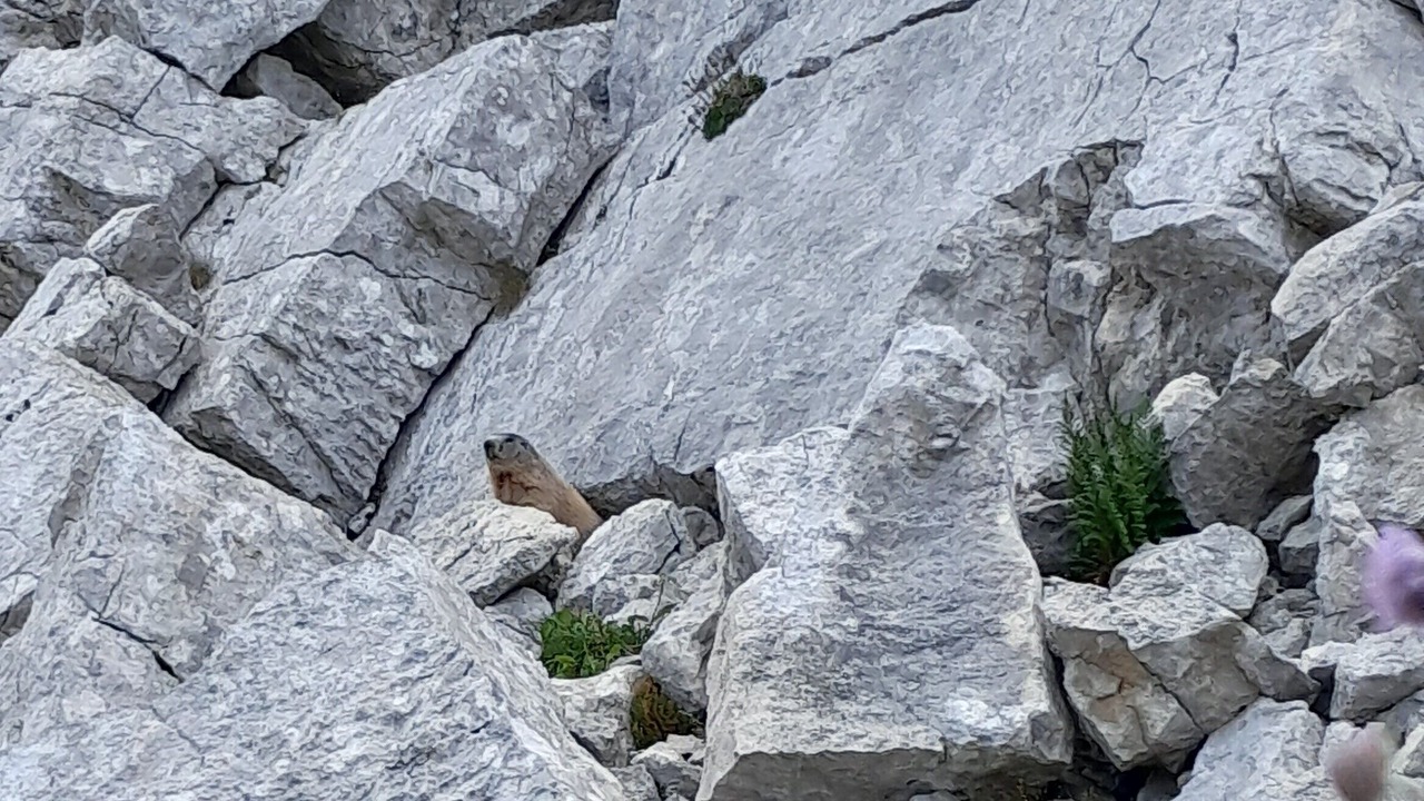 Photo of Outdoor in Villard-de-Lans