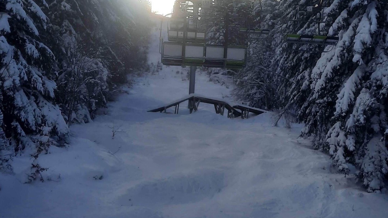 Photo of Others in Laveissiere