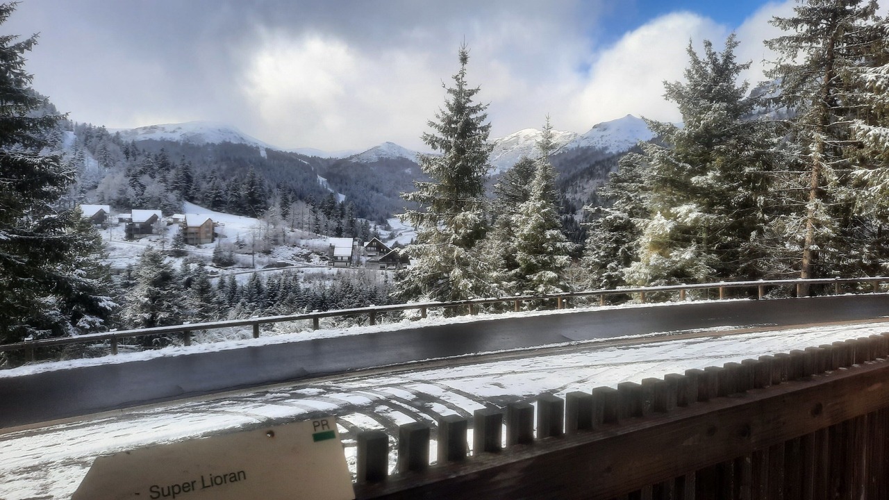 Photo of Others in Laveissiere