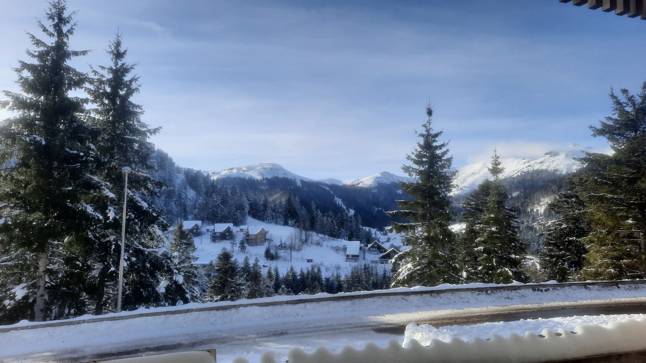 Photo of Others in Laveissiere
