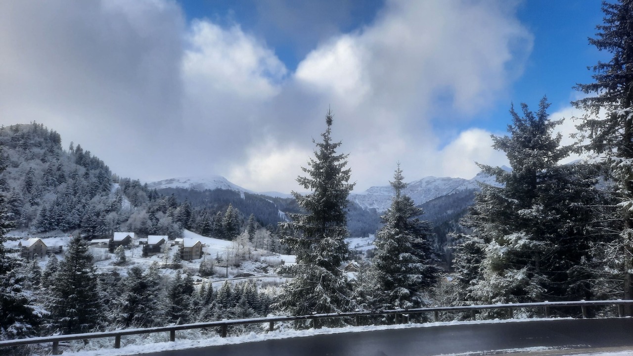 Photo of Others in Laveissiere