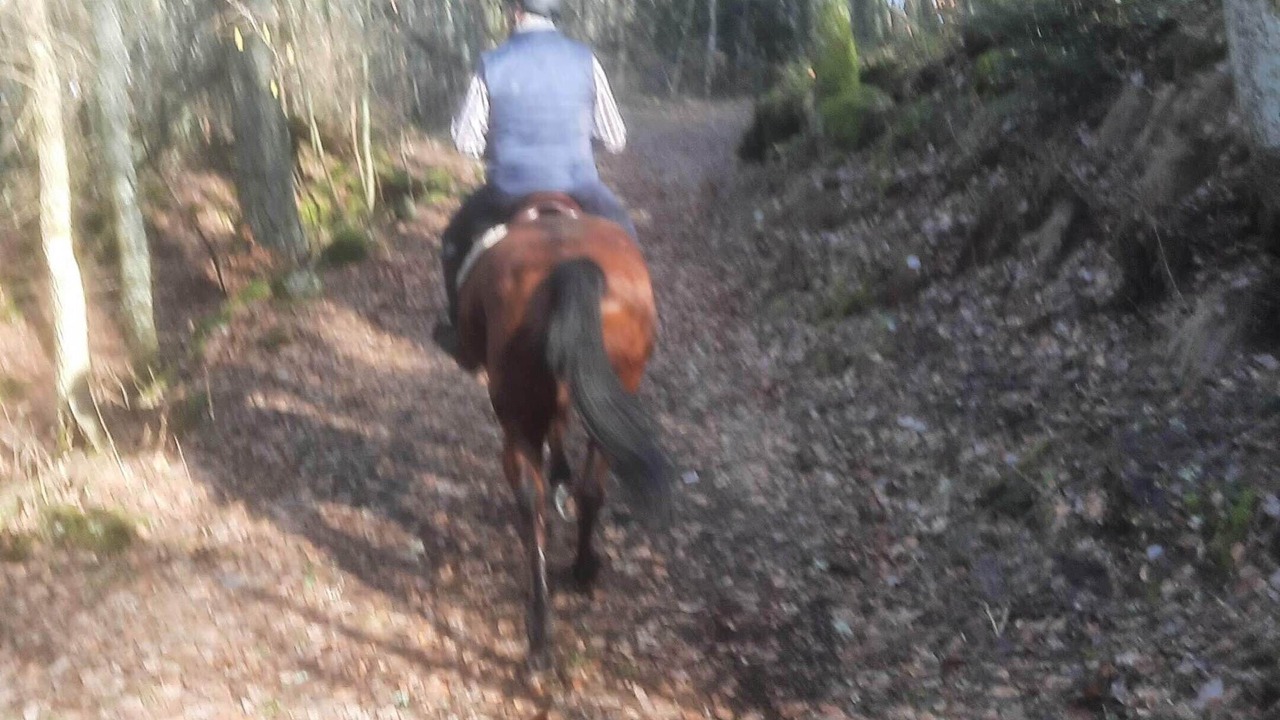 Photo of Outdoor in Laveissiere