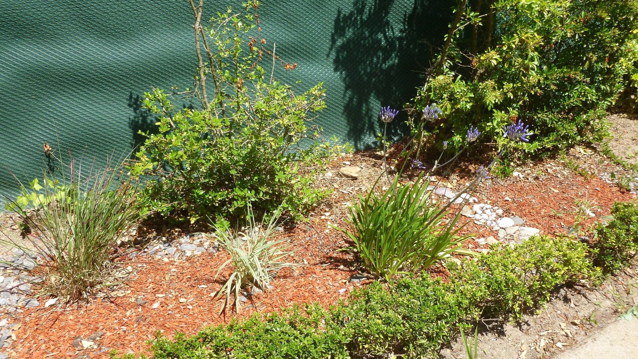 Photo of Outdoor in Pornichet