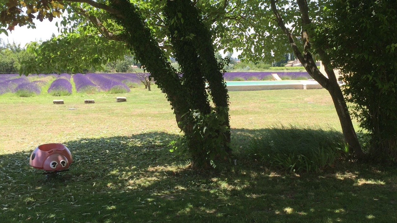 Photo of Outdoor in Solerieux