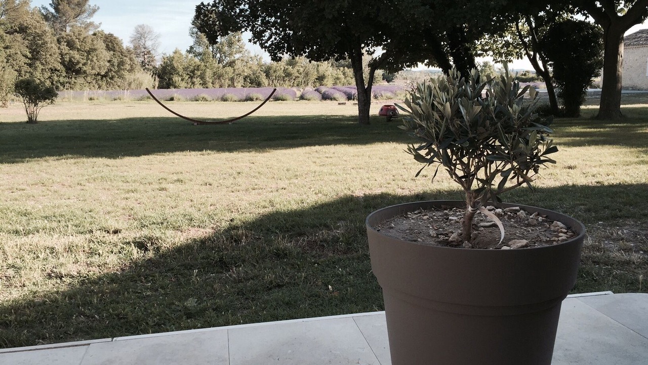 Photo of Outdoor in Solerieux