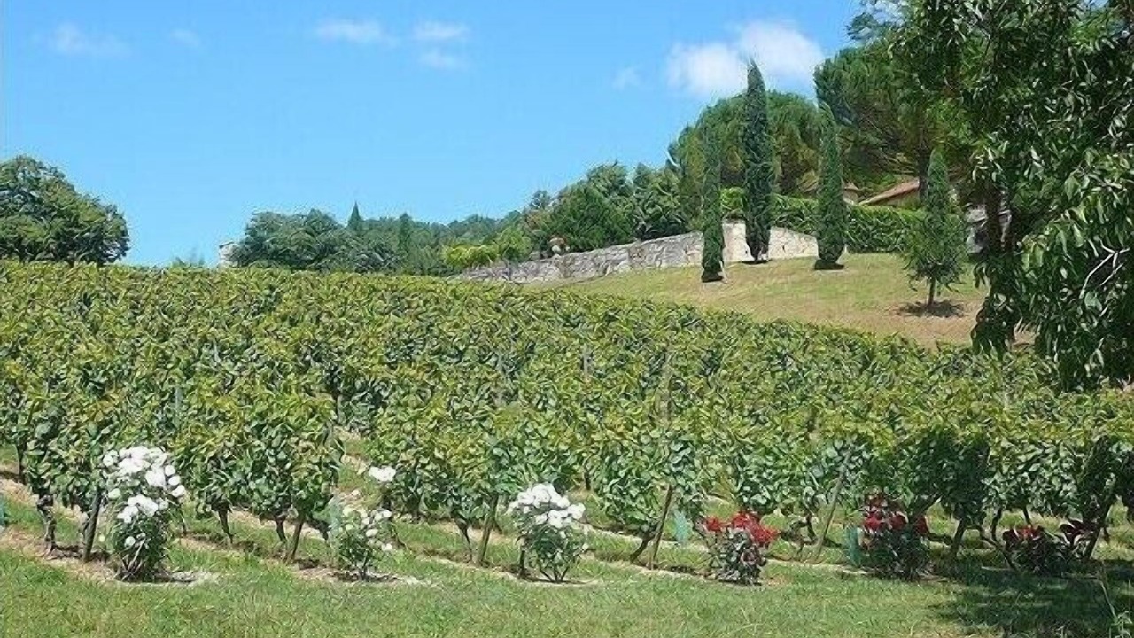 Photo of Outdoor in Saint-Medard