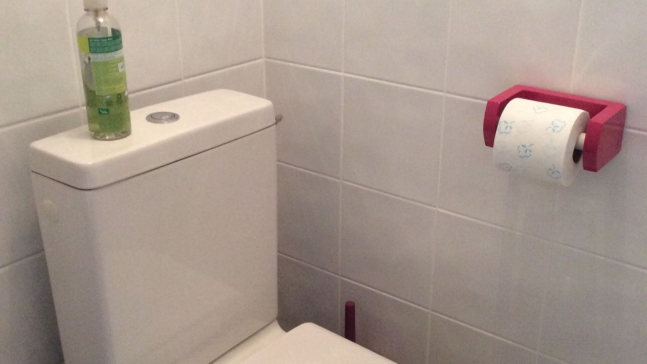 Photo of Bathroom in Saint-Laurent-de-la-Salanque