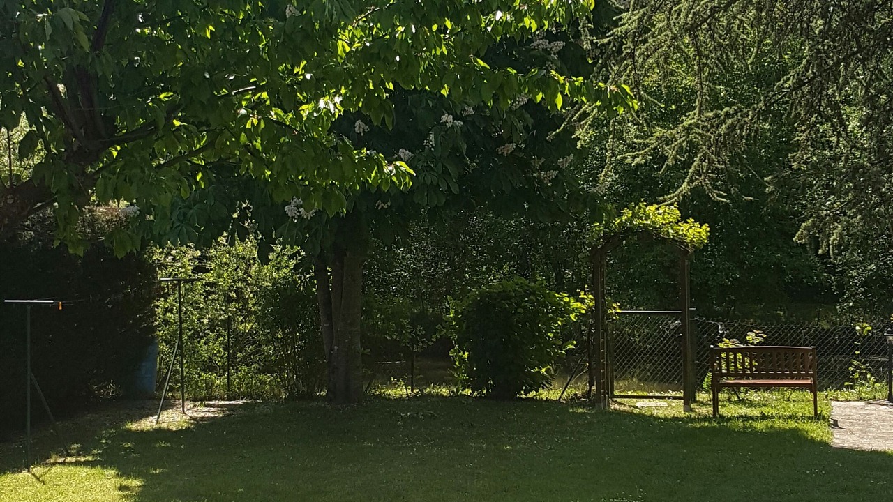 Photo of Outdoor in Saint-Sauveur-les-Bray