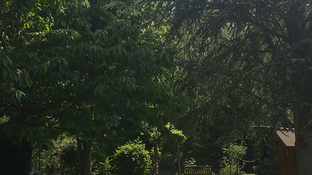 Photo of Outdoor in Saint-Sauveur-les-Bray