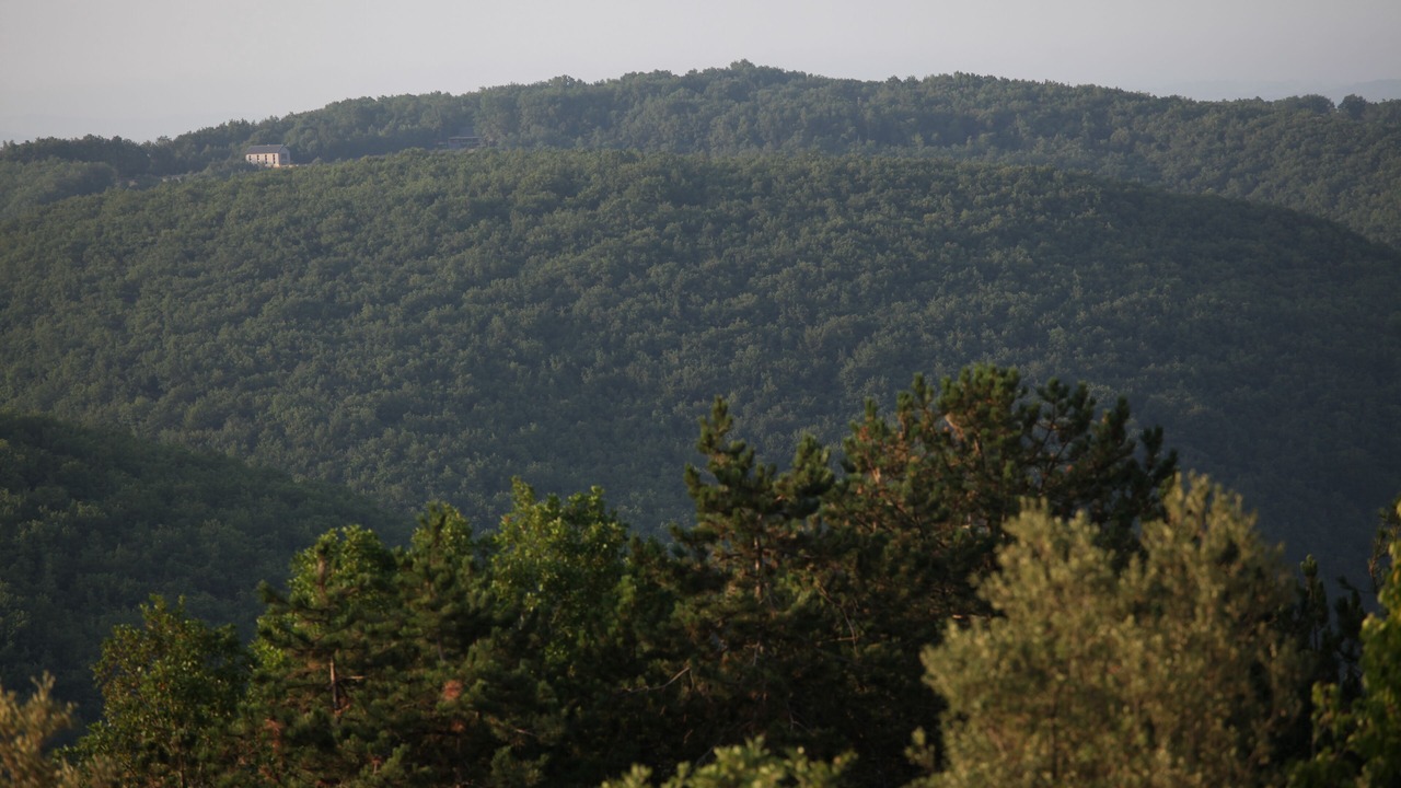 Photo of Others in Peyrillac-et-Millac