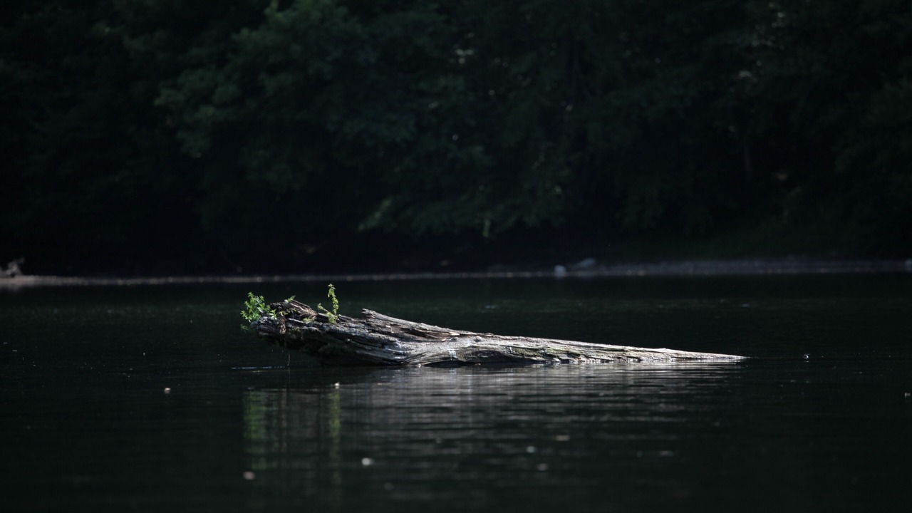 Photo of Others in Peyrillac-et-Millac