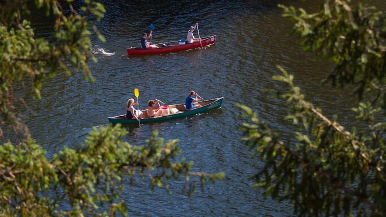 Photo of Others in Peyrillac-et-Millac
