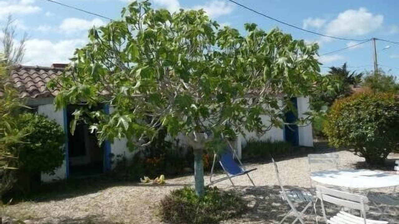 Photo of Outdoor in L'Epine