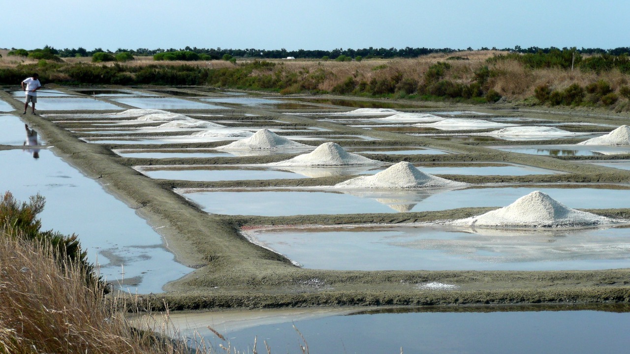 Photo of Others in L'Epine