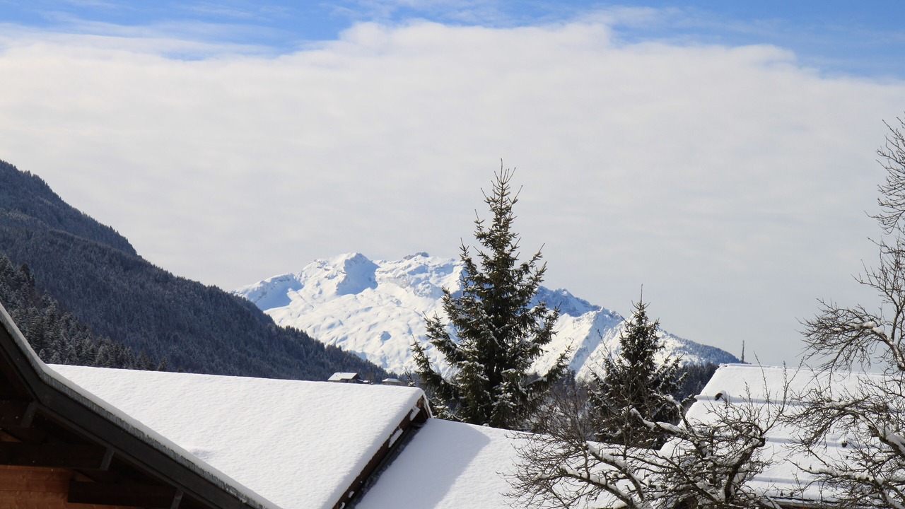 Photo of Others in Le Grand-Bornand