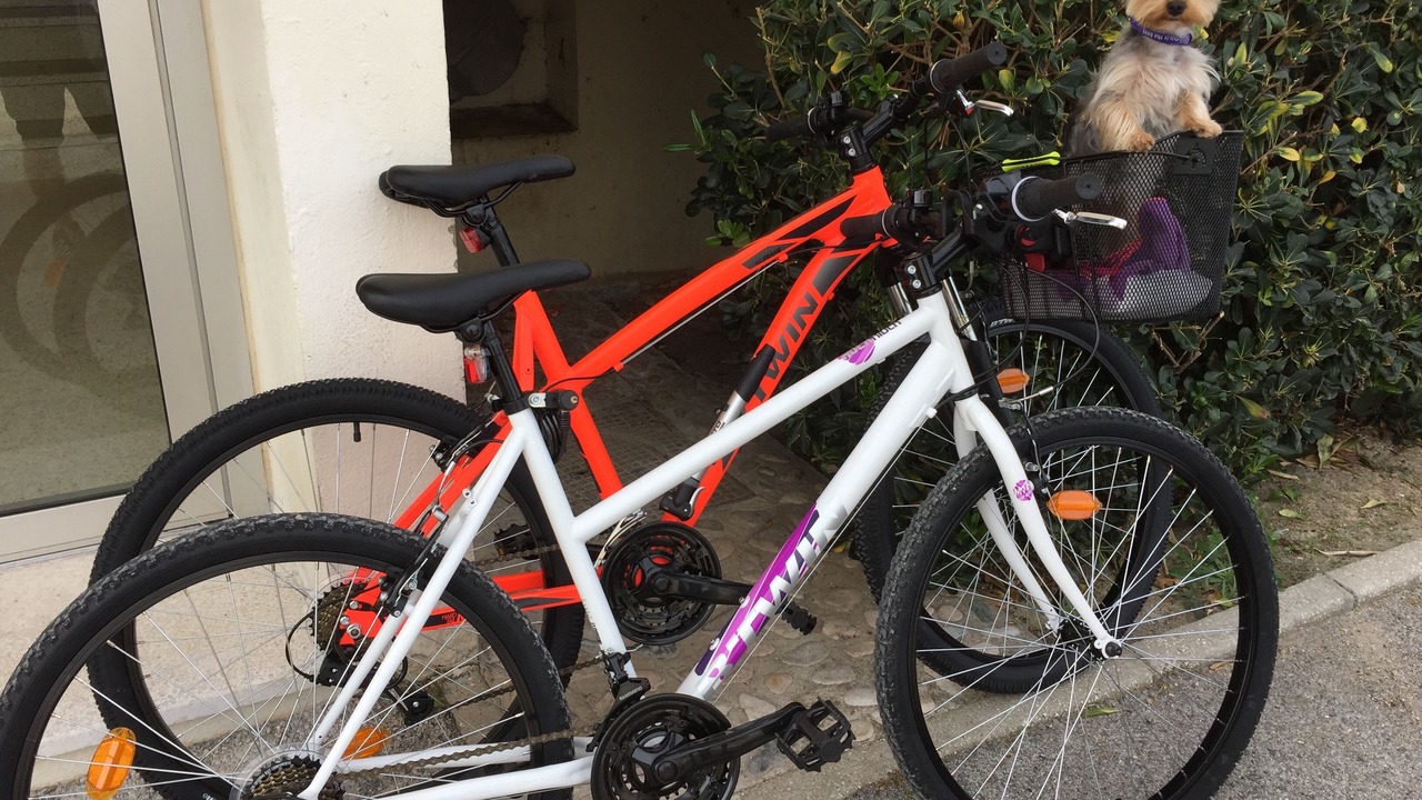 Photo of Outdoor in Six-Fours-les-Plages