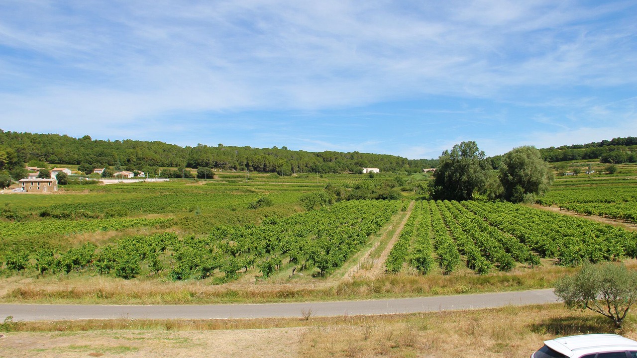 Photo of Others in Sabran