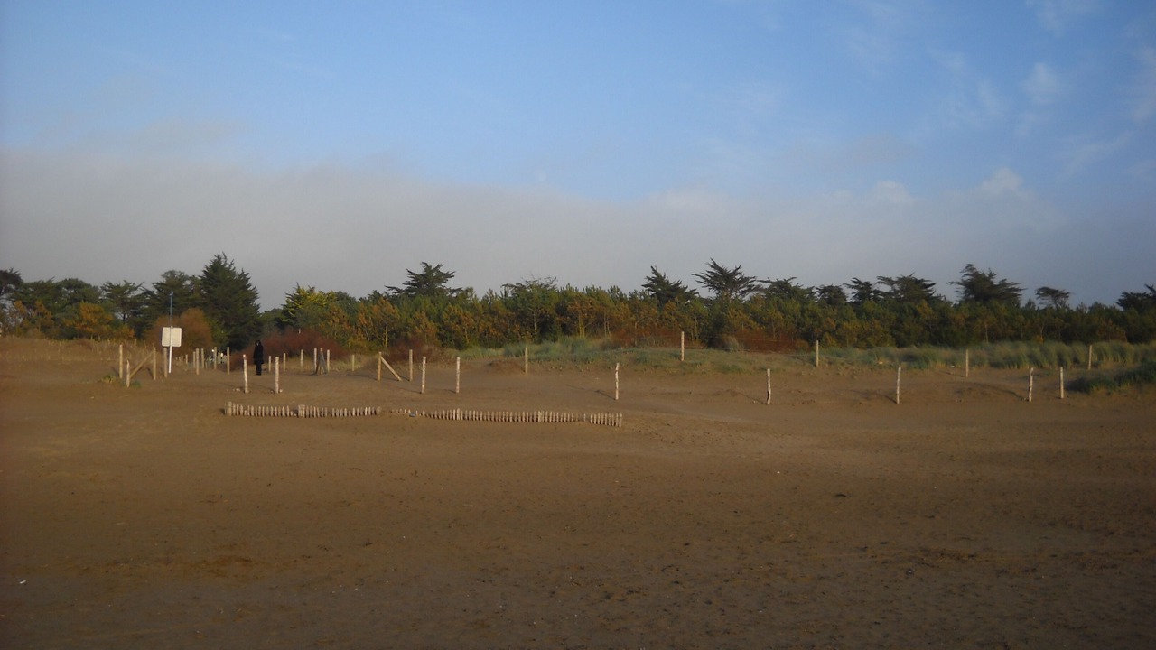 Photo of Others in Saint-Brevin-l'Ocean