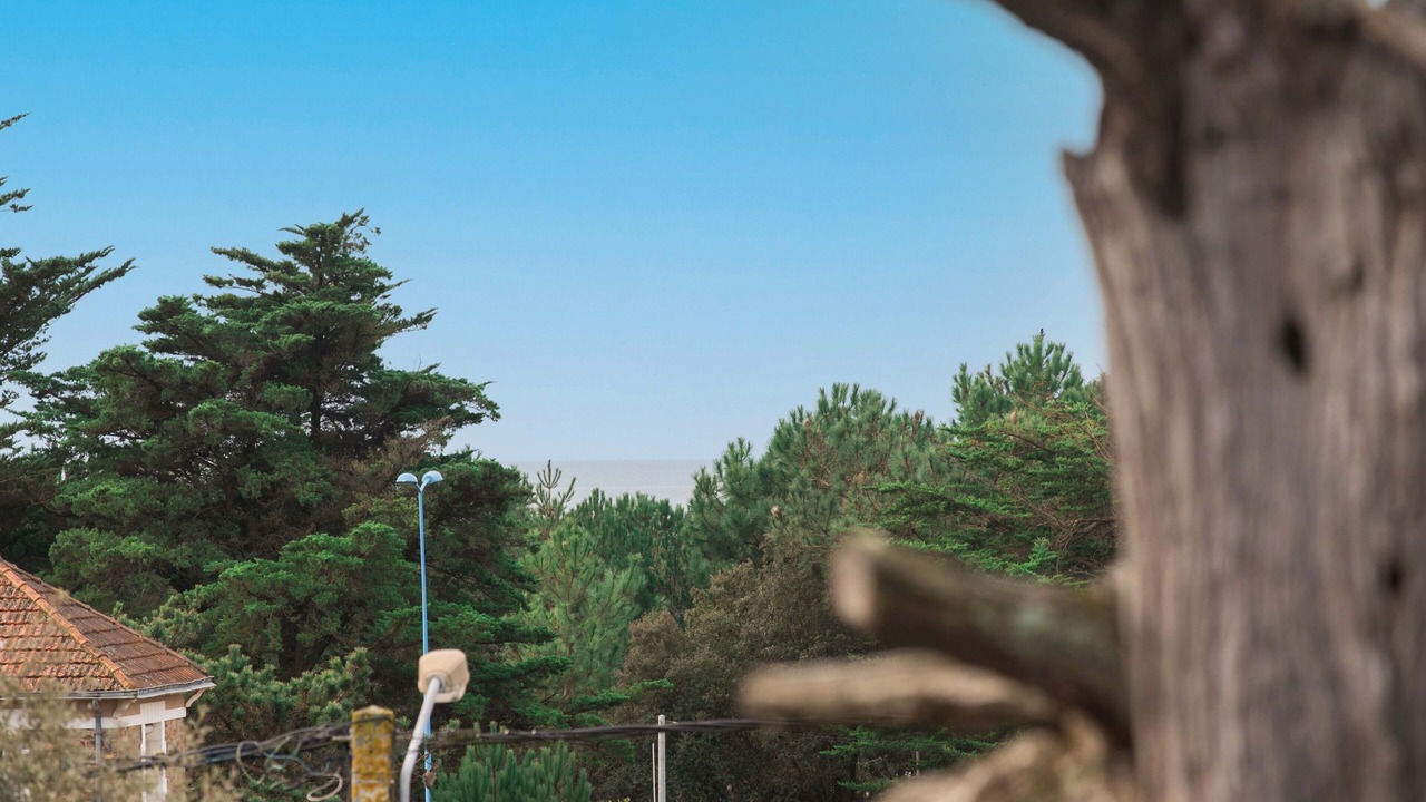 Photo of Outdoor in Saint-Brevin-l'Ocean