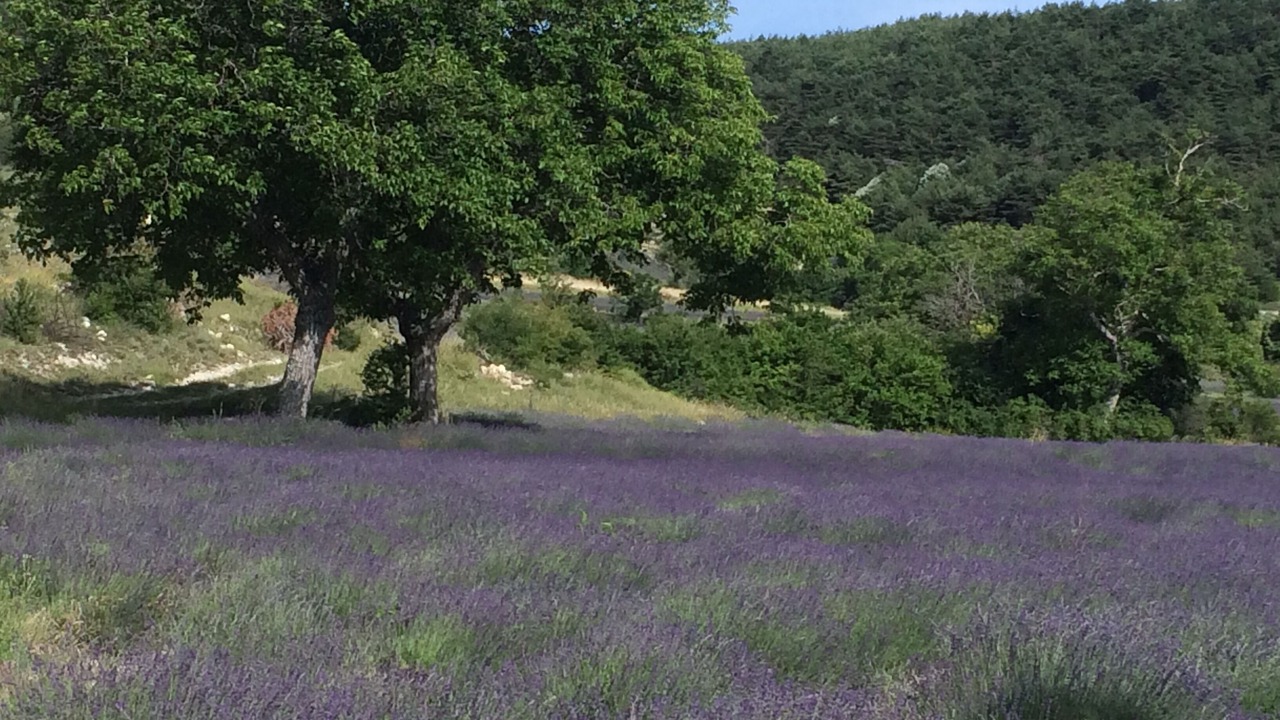 Photo of Outdoor in Mevouillon
