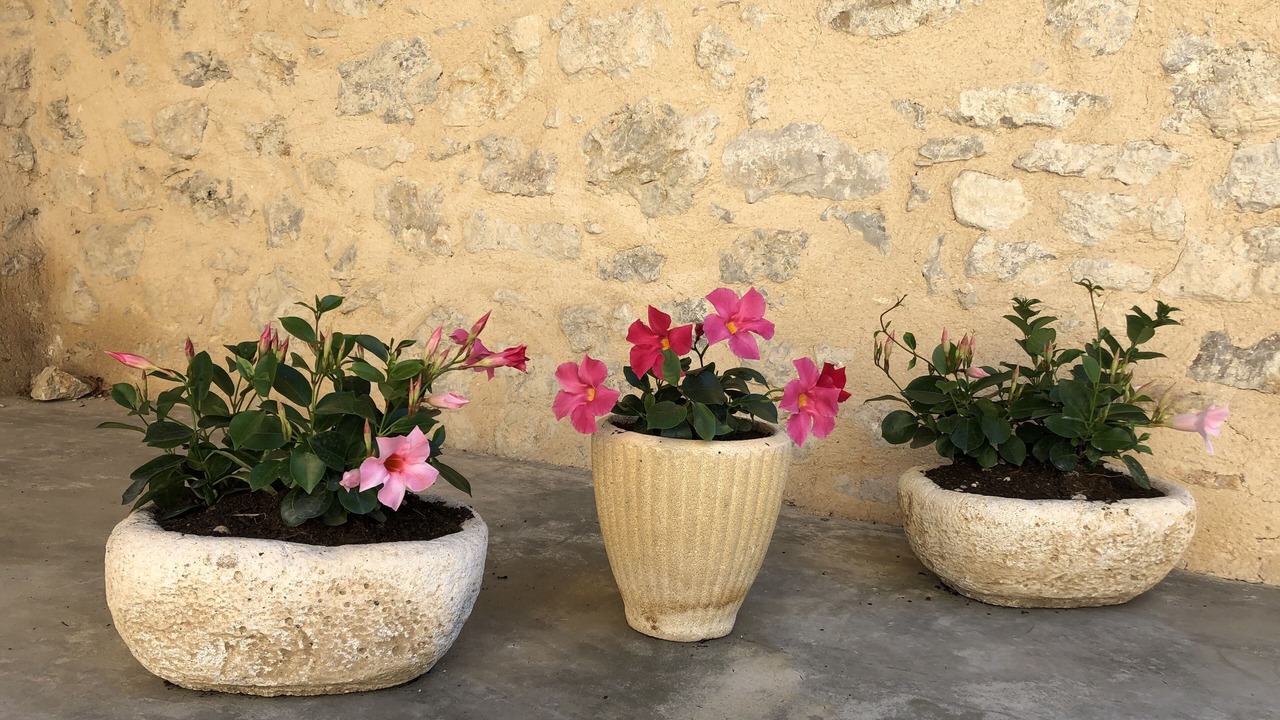 Photo of Outdoor in Mevouillon